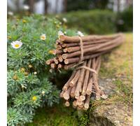 Pack of 40 Willow Pea & Bean Support Sticks (90cm)