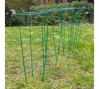 Selections Pack Of 5 Conical Garden Plant Support Rings (60Cm)