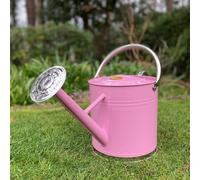 Selections Pink & Chrome Metal Watering Can With Rose (9 Litre)