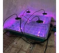 Selections Plant Propagator 40 Cell Seed Tray Set With Full Spectrum Usb Grow Lights (Pack Of 2)