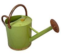 Selections Sage Green & Copper Colour Metal Watering Can (9 Litre)