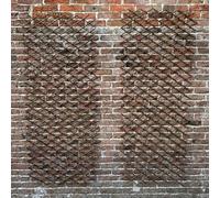 Set of 2 Expanding Willow Trellis (180x60cm) - Adjustable Climbing Plant Support & Natural Wall Decor