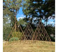 Selections Set Of 3 Expanding Willow Garden Obelisks (1.2M) Ideal For Climbing Plants