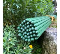 Set of 40 Plastic Coated Metal Plant Support Sticks (60cm)