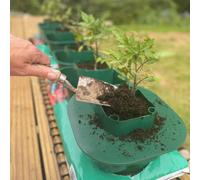 Selections Set Of 6 Tomato & Vegetable Growbag Pots With Planting Guard