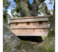 Selections Sparrow Colony Terrace Wooden Nesting Box With Removable Nest Fronts