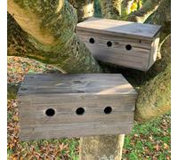 Selections Sparrow Colony Wooden Nesting Box Terrace Bird House (Pack Of 2)