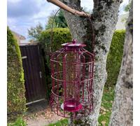 Squirrel Proof Hanging Bird Nut Feeder