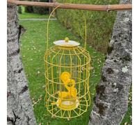 Selections Squirrel Proof Hanging Bird Seed Feeder