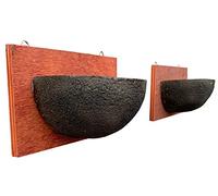 Selections Swallow Nest Bird House Rounded Half Cup Nester Bowl (Set of 2)