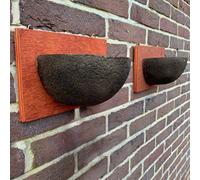 Selections Swallow Nest Bird House Rounded Half Cup Nester Bowl (Set of 2)