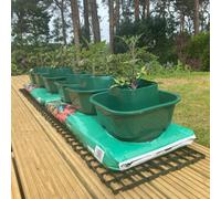 Selections Tomato & Vegetable Growbag Pots (Set Of 6)