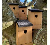 Selections Traditional Wooden Bird Box Nest Birdhouses With Removable Bases (Set Of 4)