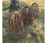 Selections Willow Herbaceous Plant Protection Cloches (Set Of 3)