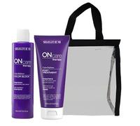 Selective Professional Silver Power + Post Treat Duo Pack