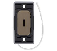 Selectric SGRID360-508 GRID360 Kinetic IP42 Push On/Off Emergency Key Switch Module - Antique Brass, Black Insert