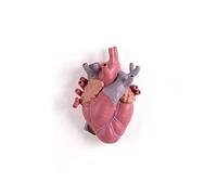 SELETTI - Love in Bloom - Heart-Shaped Porcelain Vase - Pink - Un