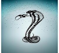Self Adhesive Car Bike Car Sticker Bomb JDM Tribal Cobra Snake Boa R2