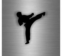 Self Adhesive Car Bike Sticker Karate Martial Arts Taekwondo Kung Fu