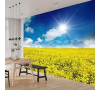 Self Adhesive Wall Mural Wallpaper Garden Photo Wallpaper Spring Landscape 3D Effect Art Poster for Living Room Bedroom Home Decoration 350x250 cm A-8779
