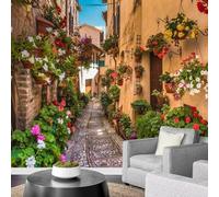 Self Adhesive Wall Mural Wallpaper Italy Photo Wallpaper Garden Street 3D Effect Art Poster for Living Room Bedroom Home Decoration 350x250 cm A-6945