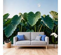 Self Adhesive Wallpaper Lotus Leaves Removable Stick On Contact Paper Peel and Stick Wallpaper for Bedroom Living Room Sofa Tv Background 200Cm(H) X300Cm(W)