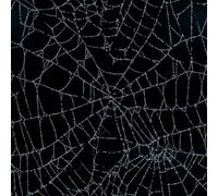 Self Adhesive Wallpaper Spider Web Contact Paper 44x200 cm Peel and Stick Wallpaper Dream Stick on Wallpaper Removable Non-Woven Canvas for Living Room Bedroom Kitchen Wall Cabinets Decor