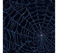 Self Adhesive Wallpaper Spider Web Contact Paper 44x300 cm Peel and Stick Wallpaper Dream Crystal Stick on Wallpaper Removable Non-Woven Canvas for Living Room Bedroom Kitchen Wall Cabinets Decor