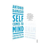 Self Comes to Mind: Constructing the Conscious Brain