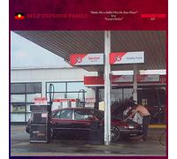 SELF DEFENSE FAMILY - MAKE ME A PALLET FIRE ON YOUR FLOOR / LOCAL CLERICS [7" VINYL]