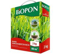 Self-Densifying Grass Seed - Regeneration Mix 1kg/2kg - Ideal for Lawns, Playgrounds & Sports Fields (2kg - 80 sqm)