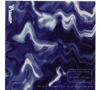 Self evident truth of an intuitive mind (1995)