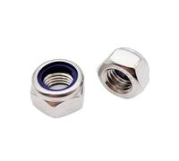Self-Locking Hex Nut 304 Stainless Steel Black Hex Nylon Insert Lock Nut Self-locking Locknut M2 .5 M3 M4 M5 M6 M8 M10 M12 M14 M16(304 stainless steel,25pcs M2)