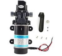 Self Priming 120W 10L/m High Pressure Diaphragm Pump with Over-Current for Garden Watering Spraying (12V 3210YD-12-120FS)