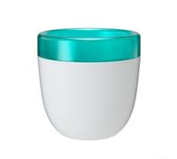 Self Watering Flower Pot for Home, Garden, and Office Built In Water System for Healthy Plant Growth (white)