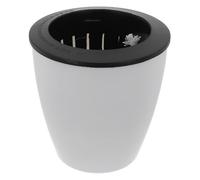 Self Watering Flower Pot Plastic with Outer Basin and Cotton Rope Designed for Soil Based Plant Cultivation (M)