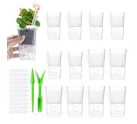 Self Watering Flower Pots | Clear Grow Box with Drainage Holes - Semi Hydroponic Planter with Water Level Indicator | for Bedroom Balcony Patio Deck Porch Garden Yard