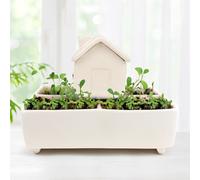 Self Watering Herb House Grow Kit
