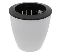 Self Watering Plant Pot, Lazy Flowerpot with Automatic Watering System, Imitation Porcelain Plastic for Indoor Outdoor Home Office(M)