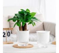 Self Watering Plant Pots 4PCS with Deep Reservoir and Clear Plastic Material to Help Maintain Soil Hydration for Various Plants