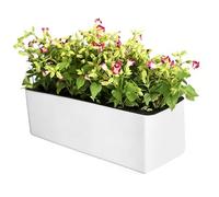 Self Watering Plant Pots - Rectangular Windowsill Herb Planter Box Visual Water Level | Tall Indoor Outdoor Flower Pot Balcony Garden | Modern Planter Herbs Vegetables Strawberries Hydroponics