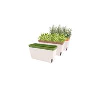 Self Watering Plant Pots, Set of 3 10.5 Inch Rectangular Windowsill Herb Planter Box, Modern Plastic Flower Pots for Indoor Outdoor Garden Office