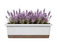 Self Watering Planter - Rectangular Container Vegetable | Rectangular Planter with Base, Drainage Hole, And Absorbent Rope - for Cultivation Garden Windowsill Terrace Porch Courtyard