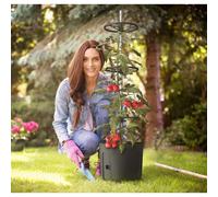 Self-Watering Tomato Pot With Extendable Trellis - 29cm - Twin Pack