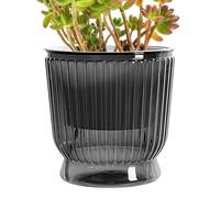Self-Watering Vase - Flower Pots | Transparent Indoor Plant Hydroponics Planter | Flowers Pot With Deep Reservoir For African Violets, Orchid, Indoor Plants