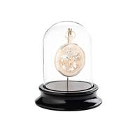 Selva C324766 real glass dome with hooks for dust free storage of pocket watches, wooden base with black piano lacquer finish (inner diameter 68 mm), without pocket watch.
