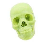 SELVFZ Exploded Skull Model Human Skull Model For DemonstratingAnatomy Skull Model For Studying Medical Skull Model Anatomy Skull Model For Studying