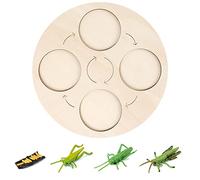 SELVFZ Simulation Animal Model Animal For Butterfly Growth Cycle Ornaments Table Decoration Uses Life Cycle Figurines