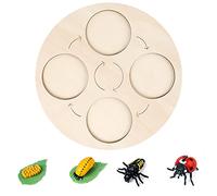 SELVFZ Simulation Animal Model Animal For Butterfly Growth Cycle Ornaments Table Decoration Uses Life Cycle Figurines