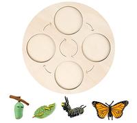 SELVFZ Simulation Animal Model Animal For Butterfly Growth Cycle Ornaments Table Decoration Uses Life Cycle Figurines